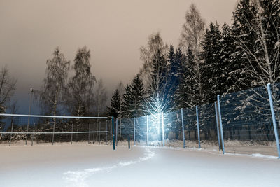 Snow covered road amidst trees against sky during winter