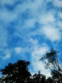 Low angle view of tree against cloudy sky