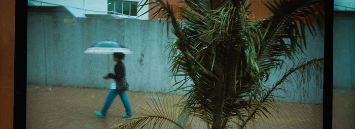 Woman walking with umbrella