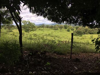 Scenic view of landscape against sky