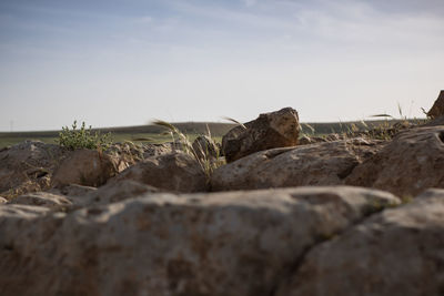 Surface level of rocks on land against sky