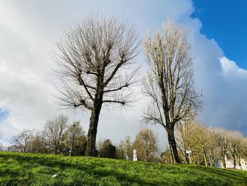 Bare trees on field against sky