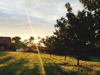 Scenic view of grassy field against sky at sunset