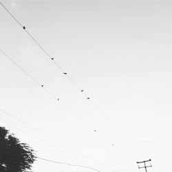 Low angle view of power lines against clear sky