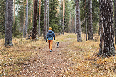 Rear view of woman walking on autumn forest path with fluffy dog walking in fall pet love friendship