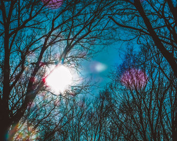 Low angle view of bare trees against sky