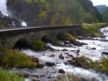 Bridge over trees by water