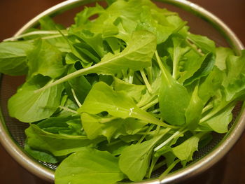 Close-up of arugula