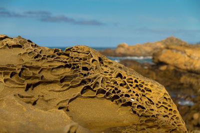 Close-up of rock on land against sky