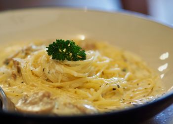 Close-up of meal served in bowl