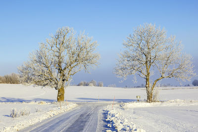 Snow covered road by trees against sky