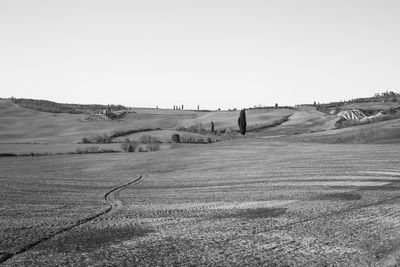 Scenic view of landscape against clear sky