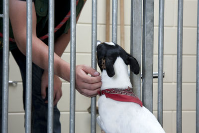 Midsection of woman with dog in cage