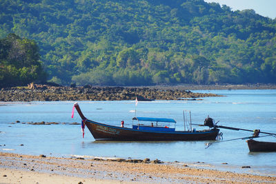 Boat moored on sea shore against trees