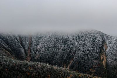 Panoramic view of field against sky during foggy weather