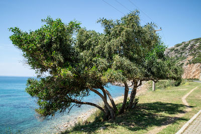 Scenic view of calm sea against sky