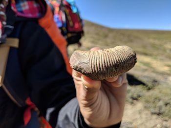 Close-up of man holding hands