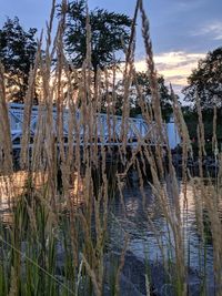 Scenic view of lake against sky at sunset