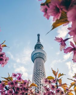 Low angle view of flowering plant against buildings