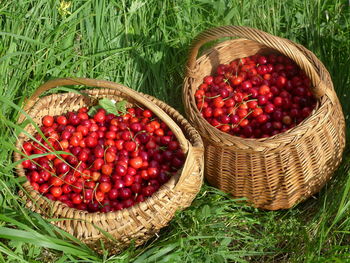 High angle view of strawberries in basket