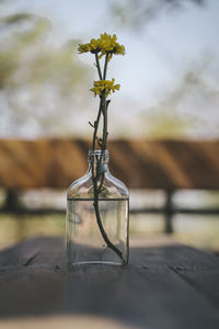 Close-up of glass vase on table