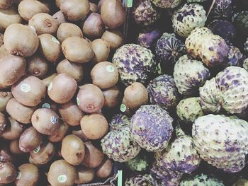 Close-up of food for sale