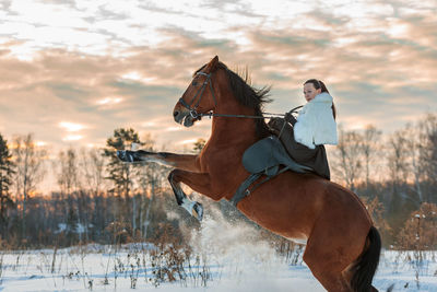 Man riding horse on field