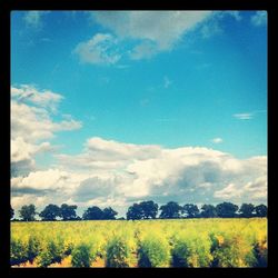 Scenic view of field against cloudy sky