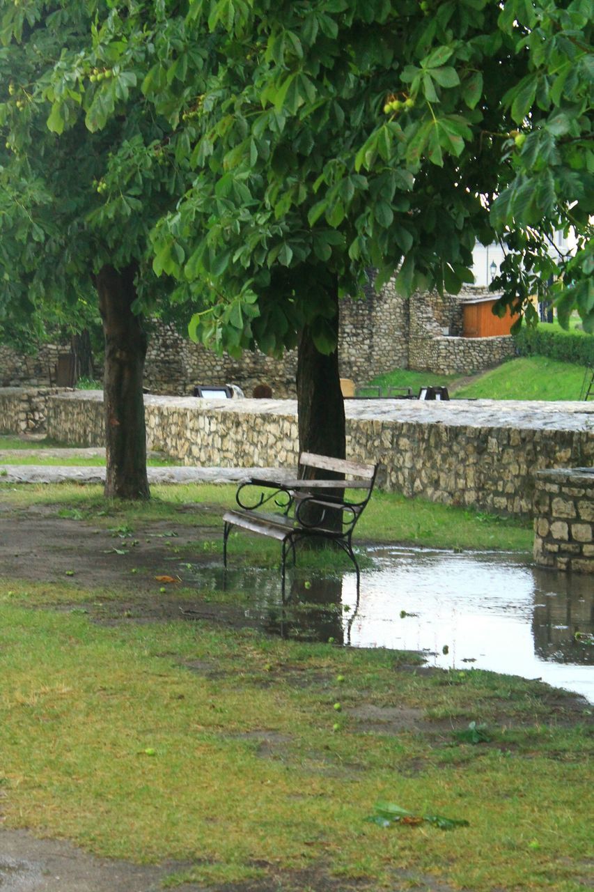 tree, grass, water, green color, bench, growth, nature, tranquility, park - man made space, chair, lake, park bench, day, empty, plant, branch, outdoors, tranquil scene, absence, beauty in nature