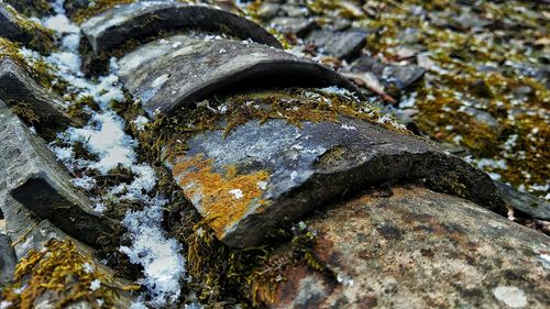 Close-up of snow on rock