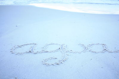 Close-up of ice on beach