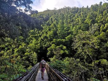 Rear view of person on railroad track amidst trees in forest