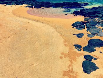 Scenic view of beach