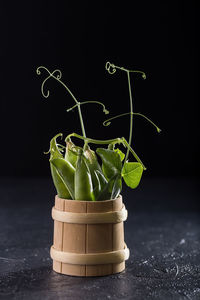 Close-up of vegetables on table against black background