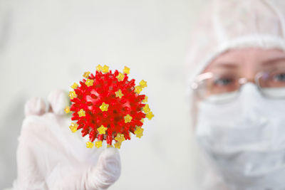 Close-up of person holding red flowering plant