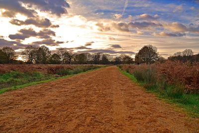 Dirt road passing through field