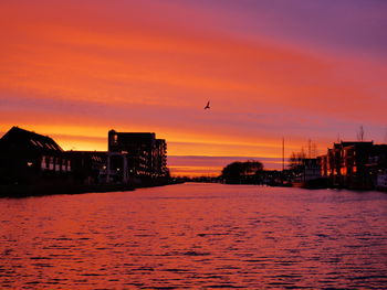 Silhouette birds flying over sea against orange sky