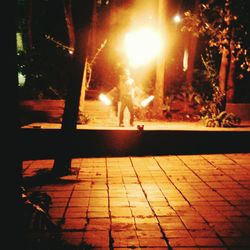 Close-up of illuminated tree at night