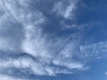 Low angle view of bird flying in sky