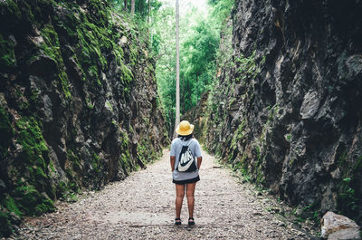 Rear view of man walking on road in forest