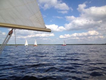 Sailboat sailing in sea