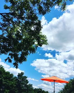 Low angle view of trees against blue sky