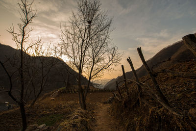 Bare trees on landscape against sky during sunset