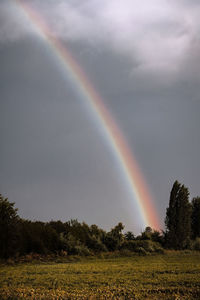 Scenic view of rainbow over field against sky