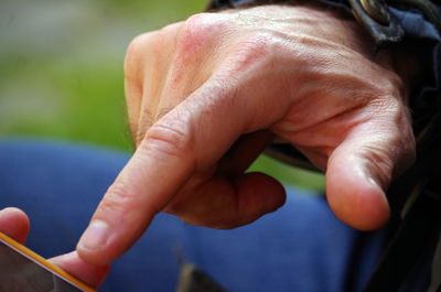 Close-up of hand holding leaf