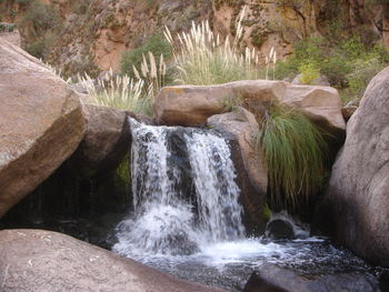 Scenic view of waterfall