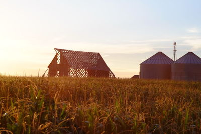 Silos and barn on field during sunset at farm