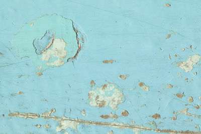 Close up shot of old light blue paint texture peeling off wood plank background