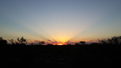 Silhouette trees against sky during sunset