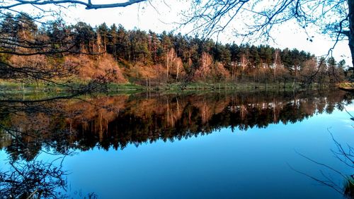 Reflection of trees in lake against sky